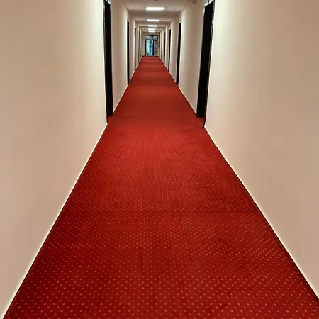 Hermes 3* אפורי נורד